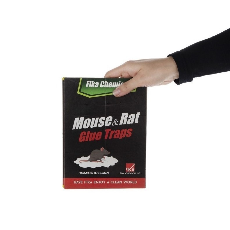 چسب موش کتابی